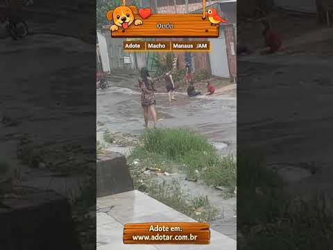 Vídeo de Dudu