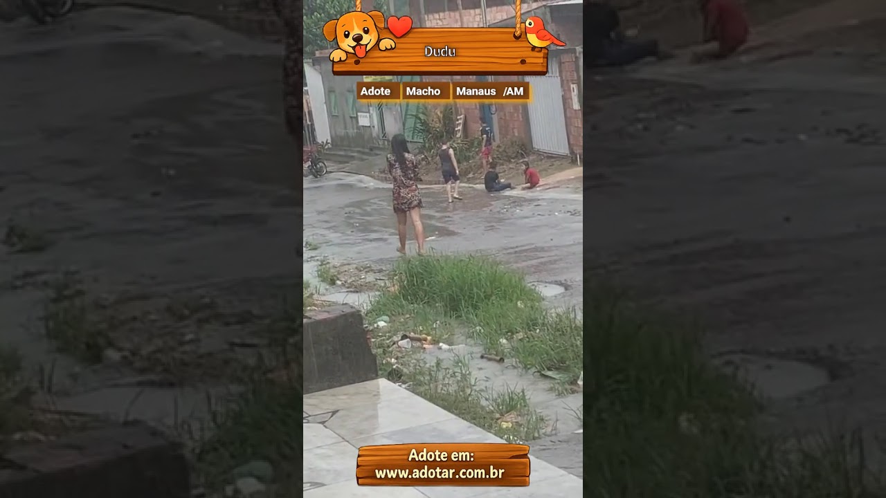 Cachorro raça SRD-ViraLata idade 3 anos nome Dudu