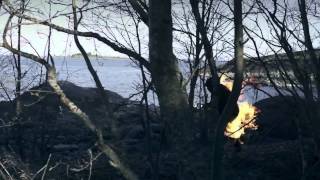 Sean Leon - Firestorm (Official Video)