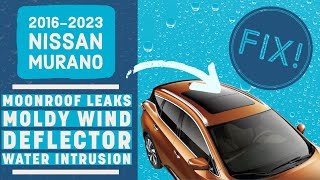 Nissan Murano Sunroof Leaking?! Follow This In-Depth Mechanic's Tutorial