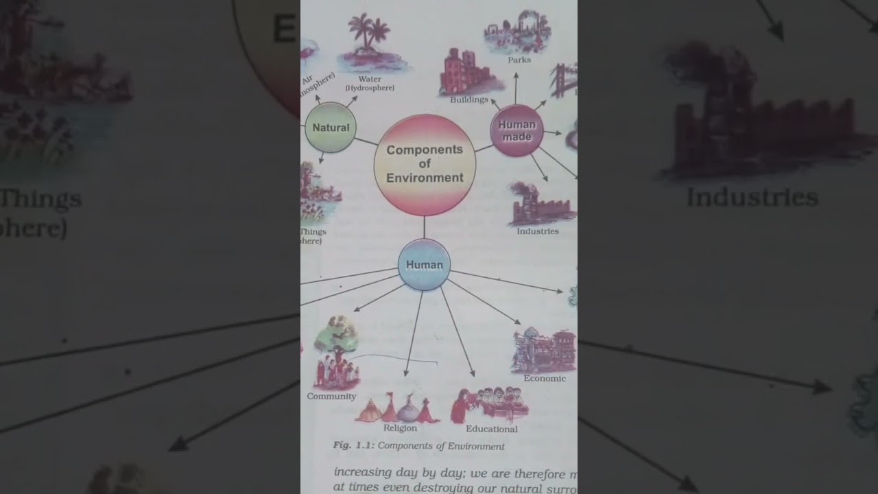 #components of environment