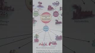 #components of environment