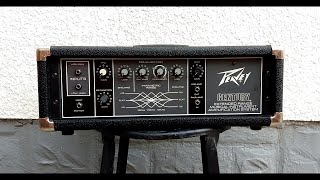 Video thumbnail for Peavey Century 200H Extended Range Musical Instrument Amplification System demo by Brad B