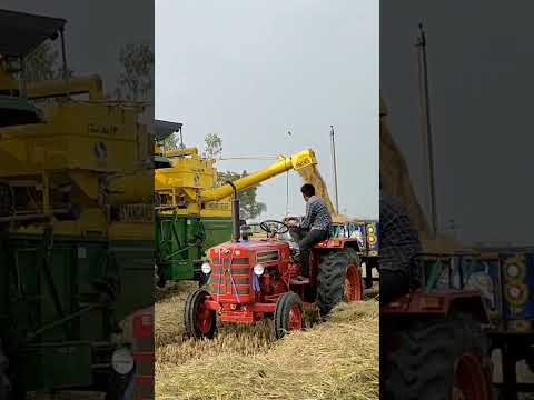 John Deere Harvesting| Harvester Videos | John Deere Stunts #shorts #viralvideo #trending
