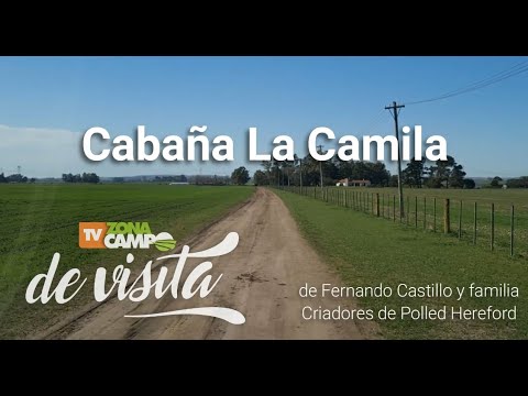ZonaCampo de visita: Cabaña La Camila