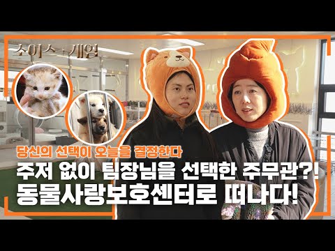 [초이스게임] 주저 없이 팀장님을 선택한 주무관?! 동물사랑보호센터로 떠나다!ㅣEP.5 경주시 동물사랑보호센터 상 편
