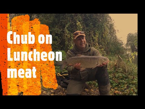 Chub on Luncheon Meat on the River Kennet