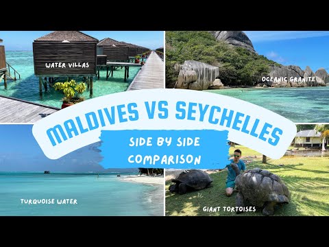 Seychelles vs Maldives - Which is better? Side by side comparison | Best honeymoon destination