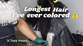 Longest Natural Hair I’ve Ever Done Highlights On… The Results are CRAZY!!