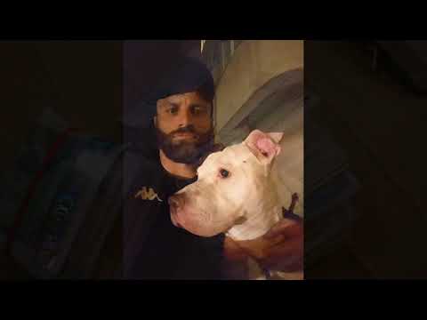 Bullet - Гето тема