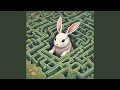 Cuddly Fluffy Bunny