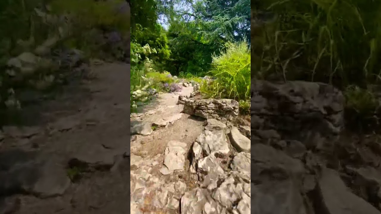 YouTube Short thumbnail