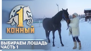 Купи коня Конный портал Свердловской области