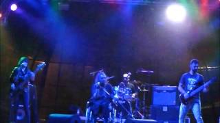 Suzy Is a Headbanger