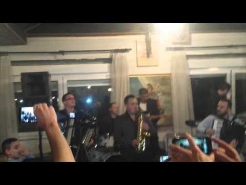 Borko Radivojevic i Tigrovi muzicko vece Zagreb