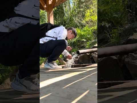 В деревню на мотоцикле MMZ 06 PRO 300 #vlog #семья #эндуро #деревня