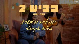 תהילים ודמעות (אקוסטי)