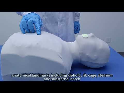 Use Little Grey to Train for the Moments That Matter