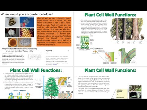 Plant Physiology: Cell Wall Structure Formation and Expansion