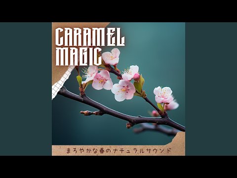 piscine extérieure luxe forme extraordinaire-pavés-chaises