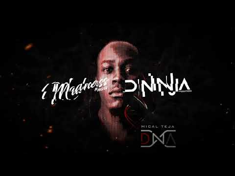 Mical Teja - DNA (Madness Muv X D Ninja Roadmix) | Soca 2024