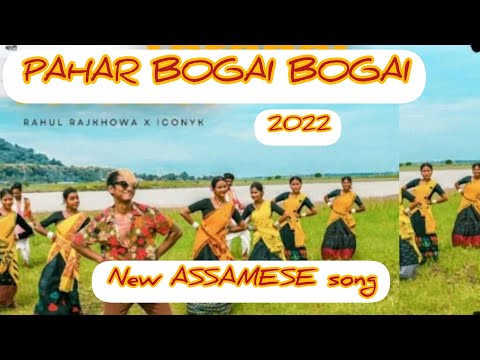 pahar bogai bogai kopow ful anilu rogili tuke pindham buli/new ASSAMESE song 2022