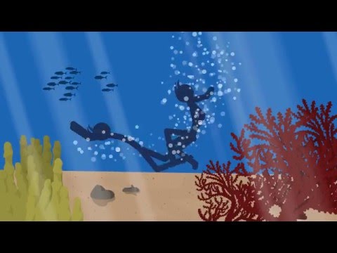 DojoDemon Collab - On the Shore