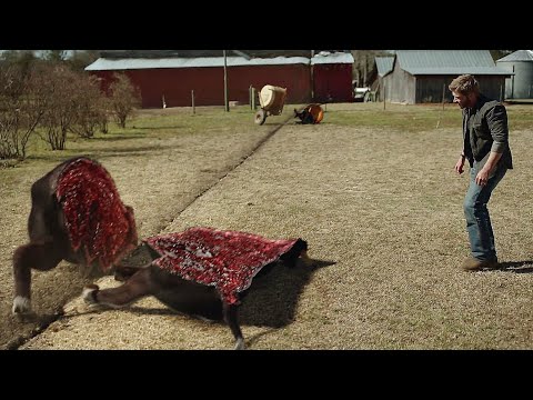 MYSTERIOUS DOME Falls Over a Town, TRAPPING Everyone With Limited FOOD and NO WAY Out