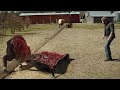 MYSTERIOUS DOME Falls Over A Town TRAPPING Everyone With Limited FOOD And NO WAY Out
