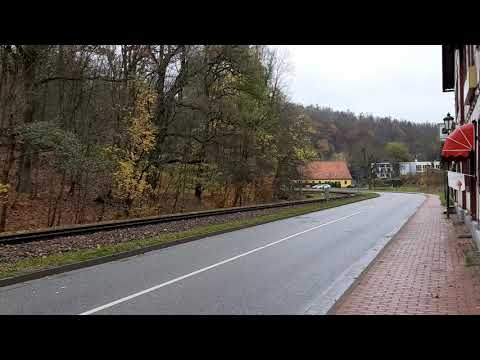 Harzer Schmalspurbahn 2020 / Die Selketalbahn (01.11.2020)