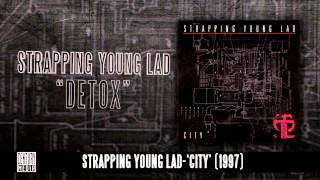 STRAPPING YOUNG LAD - Detox (Album Track)