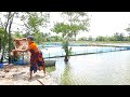 Taraditional Net Fishing Beautiful Woman Catching Fish With A Cast Net Akhi Fishing BD Part 235