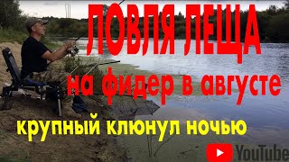 На что ловить леща в конце августа