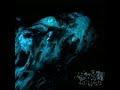 TxS Cybergrind Pornogrind Groovygore Black Light Bukkaķè FULL
