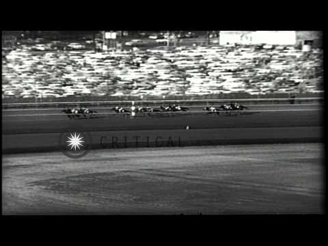 Admiral's Voyage wins Wood Memorial horse race. HD Stock Footage