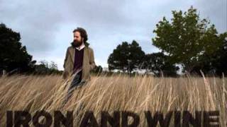 Iron &amp; Wine - The Trapeze Swinger