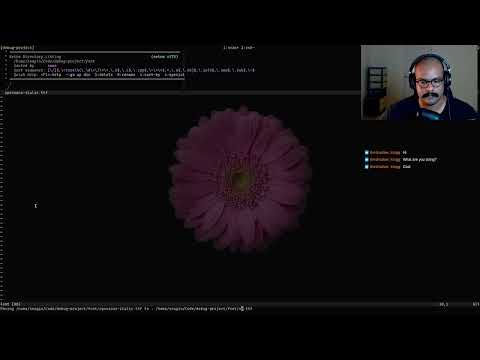 Handmade Hero (Zig|Linux) | Day 163 | How not to render font