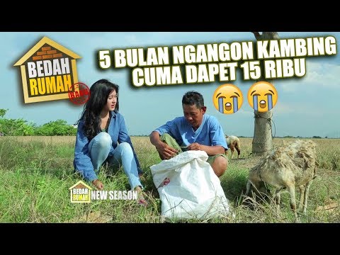 BEDAH RUMAH EPISODE 180 - 5 Bulan Ngangon Kambing Cuma di Bayar 15 Ribu