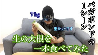 生の大根（一本）食べてみた
