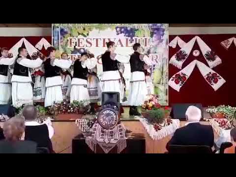 Ansamblul Doina Crisului-Ineu