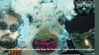 Beastie Boys-A Year And A Day ( Philth Spector presents Paul’s Boutique Revisited )
