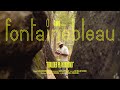 Boulder Playground Part 1 Caleb Goes To Fontainebleau