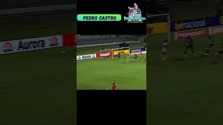 2° Gol do CRB - Pedro Castro (CRB 2x0 Operário-PR) Brasileirão B 09/05/2026
