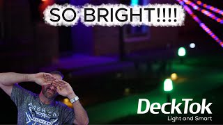 These Are The BRIGHTEST Pathway Lights!