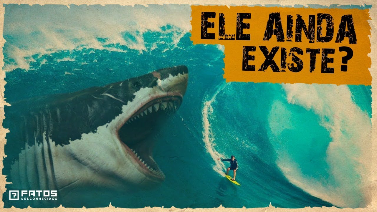 Evidências de que o megalodon ainda está vivo – E Se For Verdade