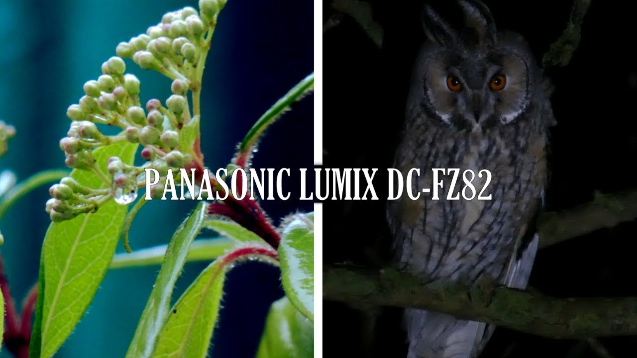Цифровой фотоаппарат Panasonic Lumix DC-FZ82