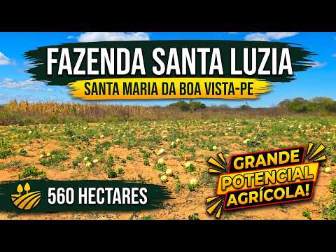 🌾 FAZENDA EM SANTA LUZIA – 560 HECTARES COM GRANDE POTENCIAL AGRÍCOLA 🌾