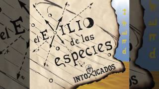 Del Mar Music Video