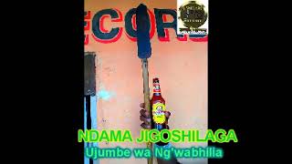 NDAMA JIGOSHILAGA Ujumbe wa Ngwanabhilia by Lwenge