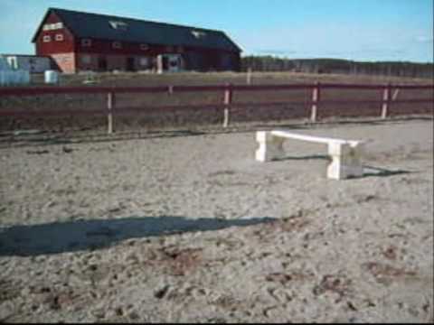 Matilda & Fanny - 14-04-2010